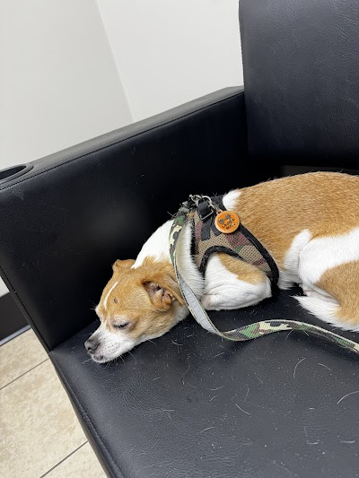 Gadsden Veterinary Associates Emergency Care, LLC